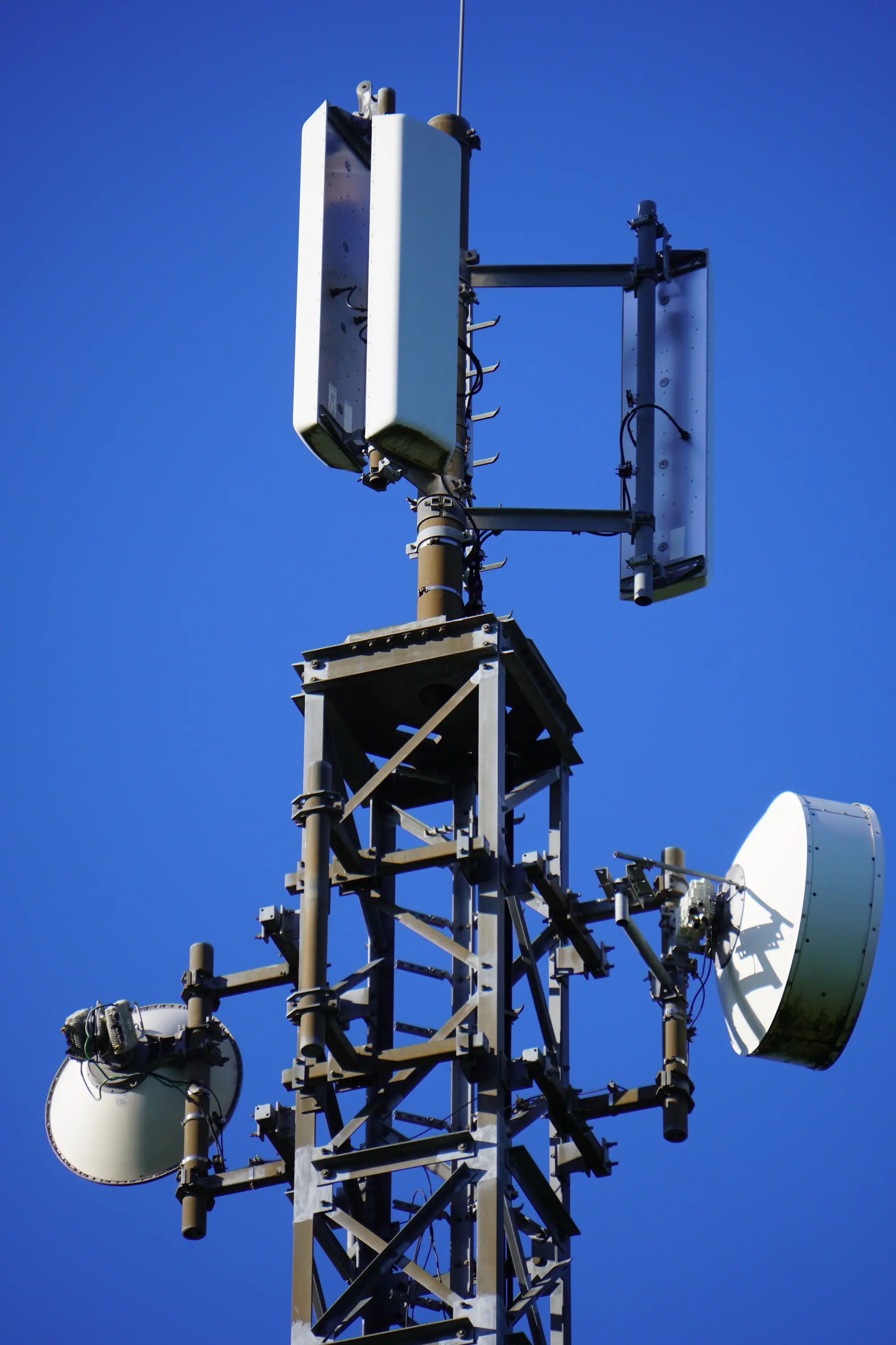 Sector panels and microwave dishes on a steel mast