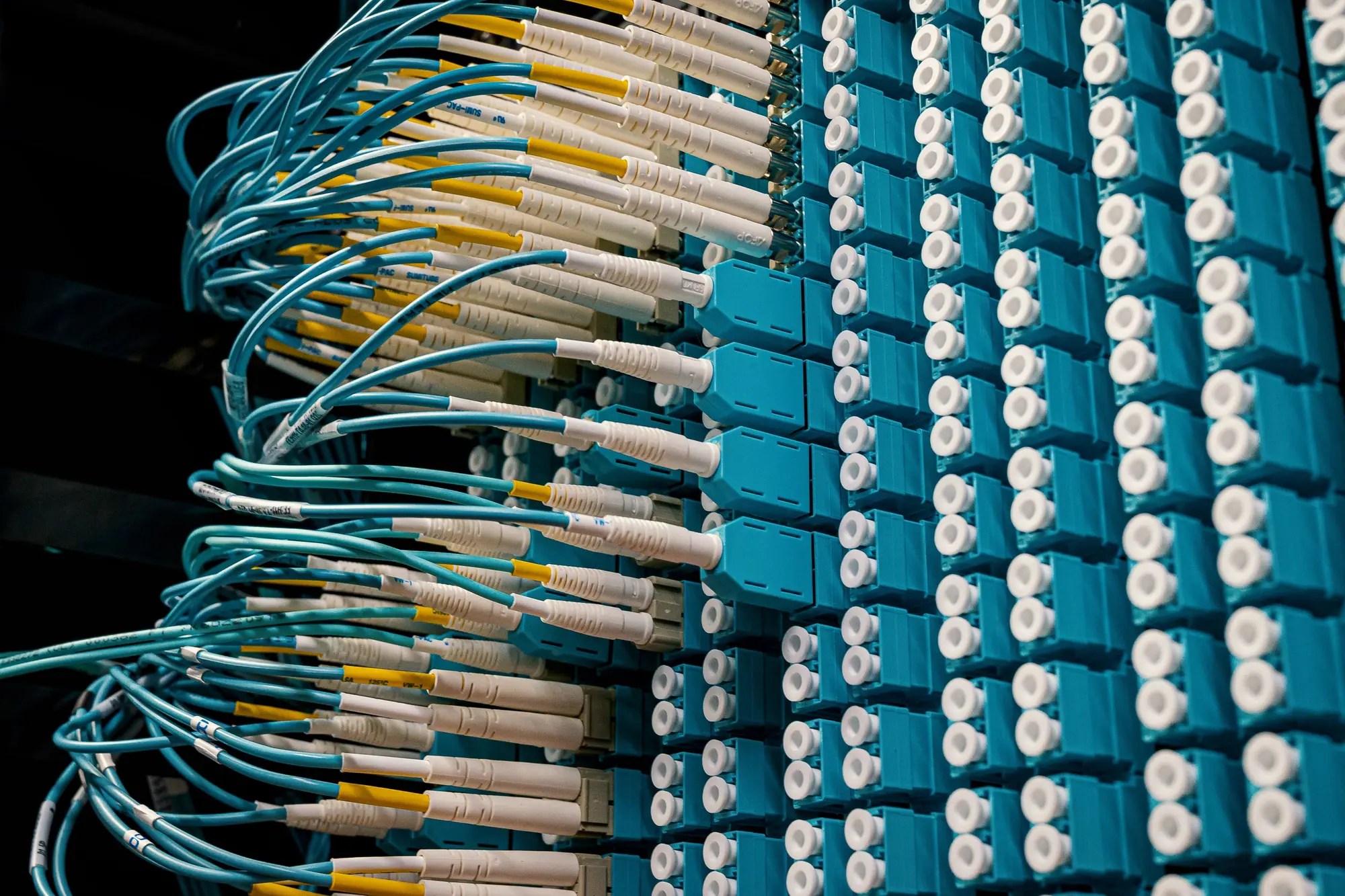 Fiber patch cords seated in a blue high-density panel