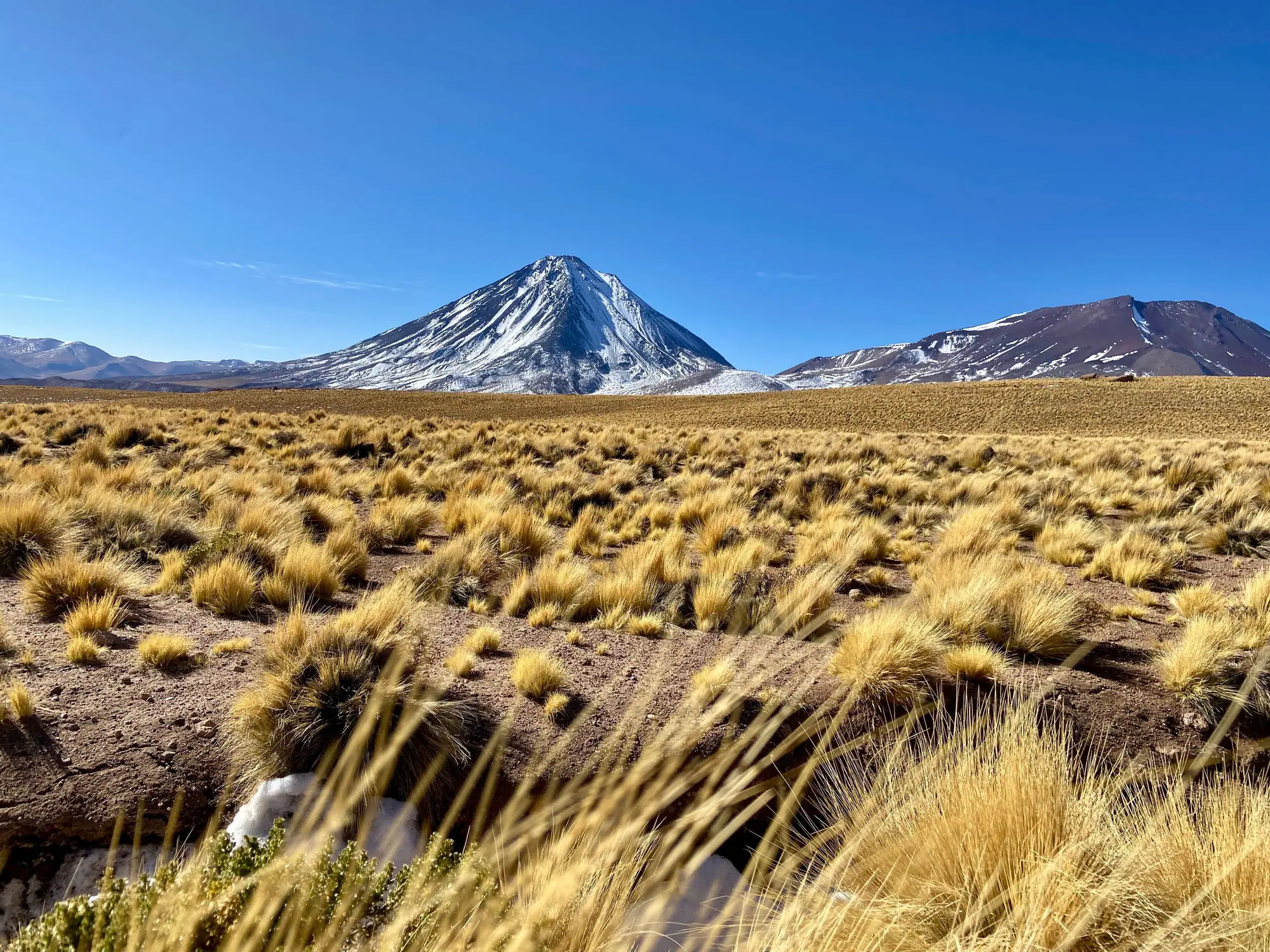Dry grassland and a conical volcano under a clear sky in northern Chile